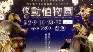 IMG_3149.jpg