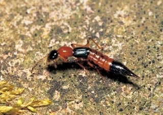 k010.jpg