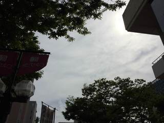 photo1.jpg